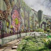 botanic gardens sydney-pollinate exhibition