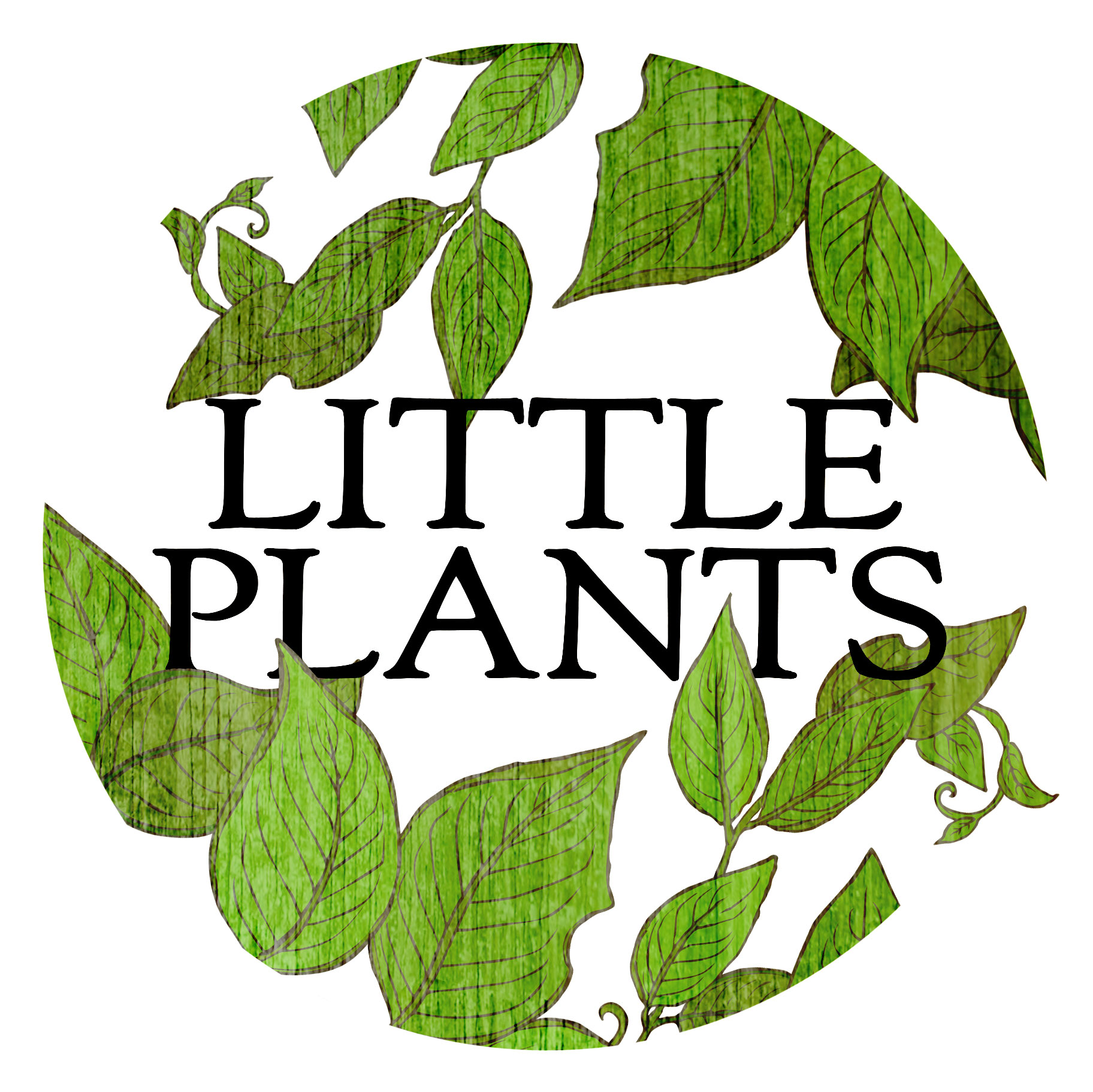 little plants gifts delivery gold coast holiday hours