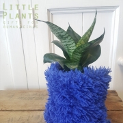 plant pouch from faux fur slipper